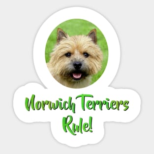 Norwich Terriers Rule! Sticker